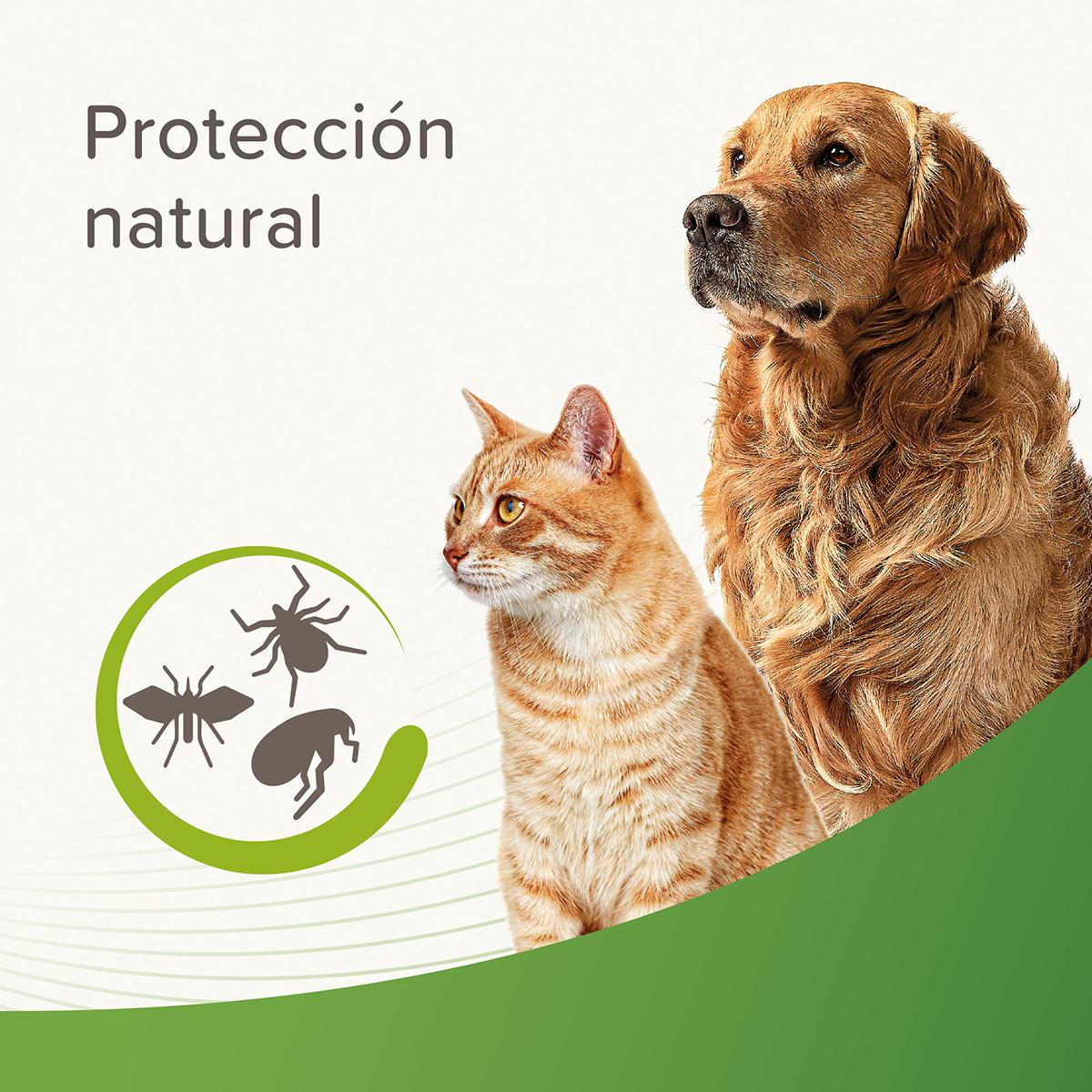Loção repelente antiparasitária natural Beaphar 250 ml
