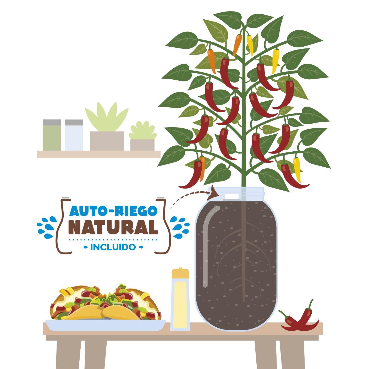 Kit de cultivo interior Snack Peppers