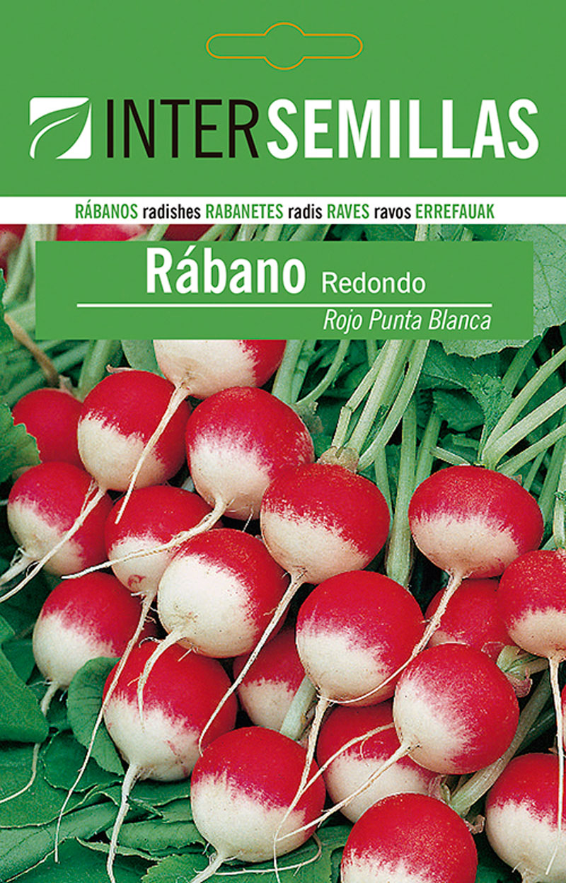 Sobre De Semillas De Rabano Redondo Rojo Punta Blanca_0