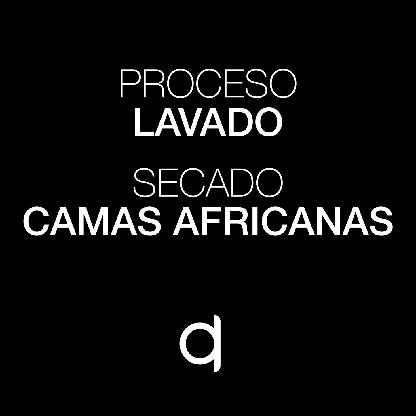 Cafe Sin Intermediarios Café Etiopía Adey En Grano Para Italiana (moka) 500 G_5