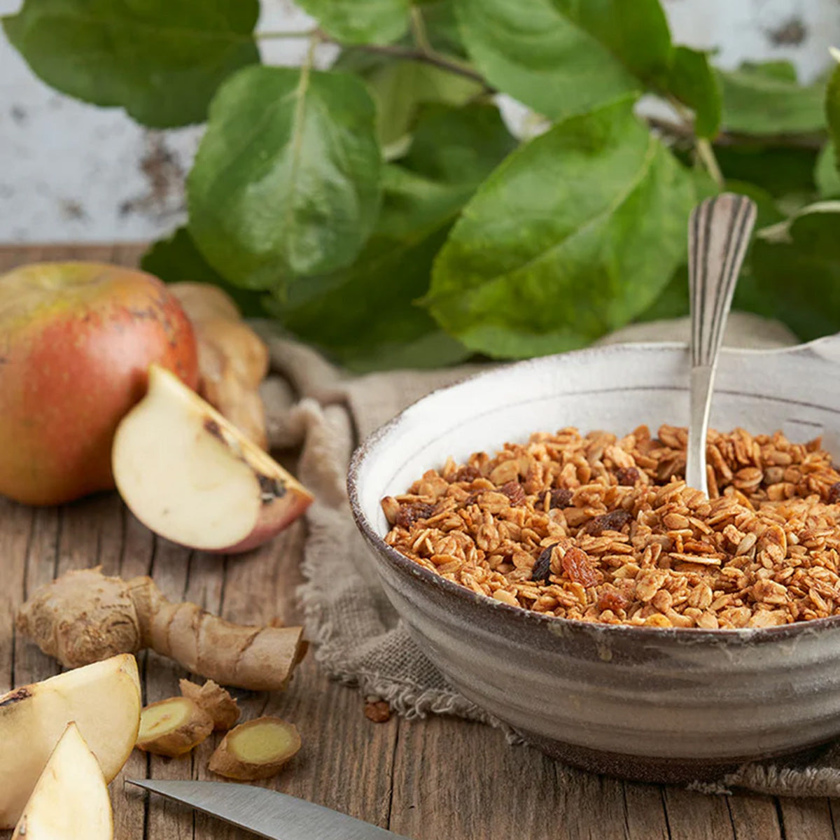 Granola Maçã Loves e Gengibre La Newyorkina 1,5 Kg