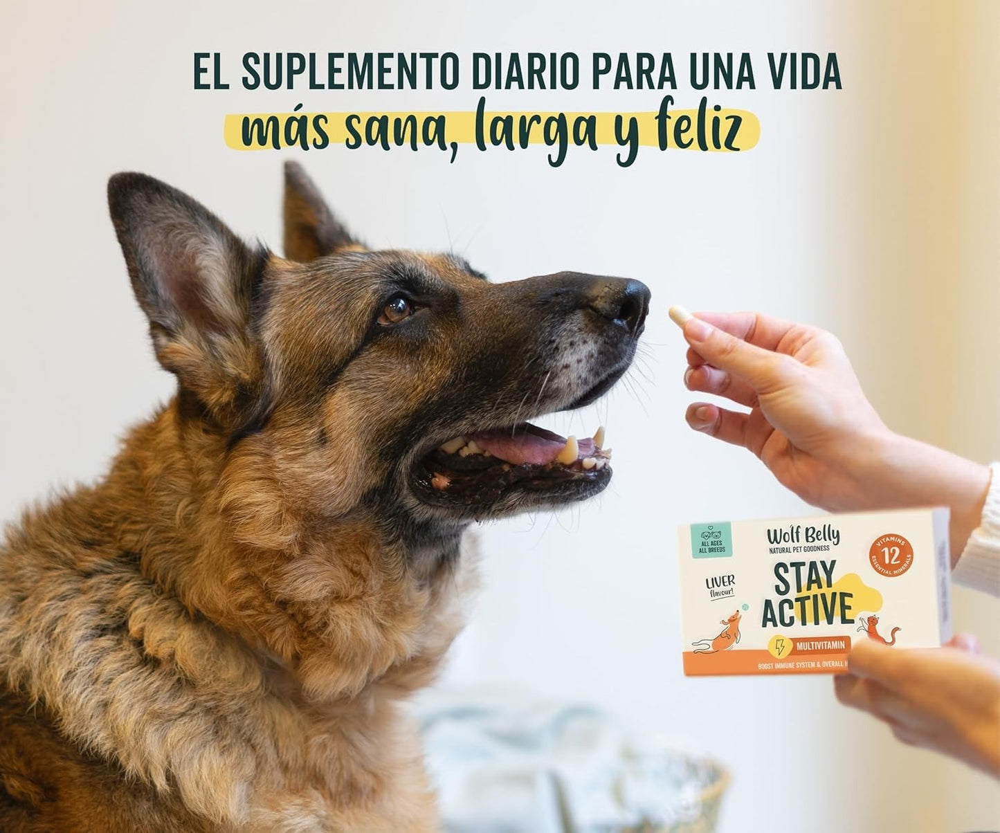 Wolf Belly Stay Active Vitamins para cães idosos a partir dos 8 anos 30 comprimidos