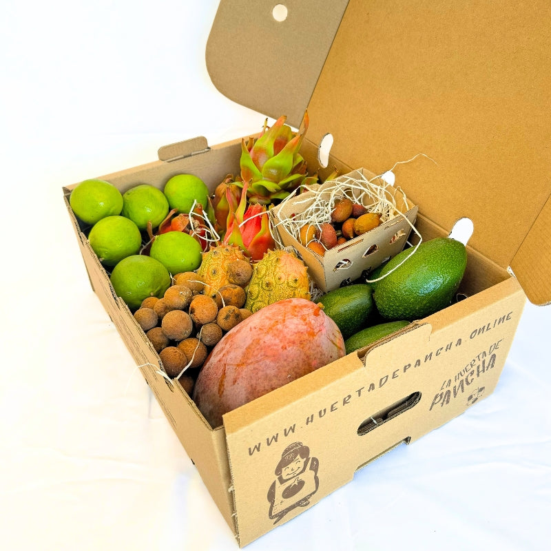 Cesta Frutas Tropicales Para Regalar de Málaga 5,5 Kg