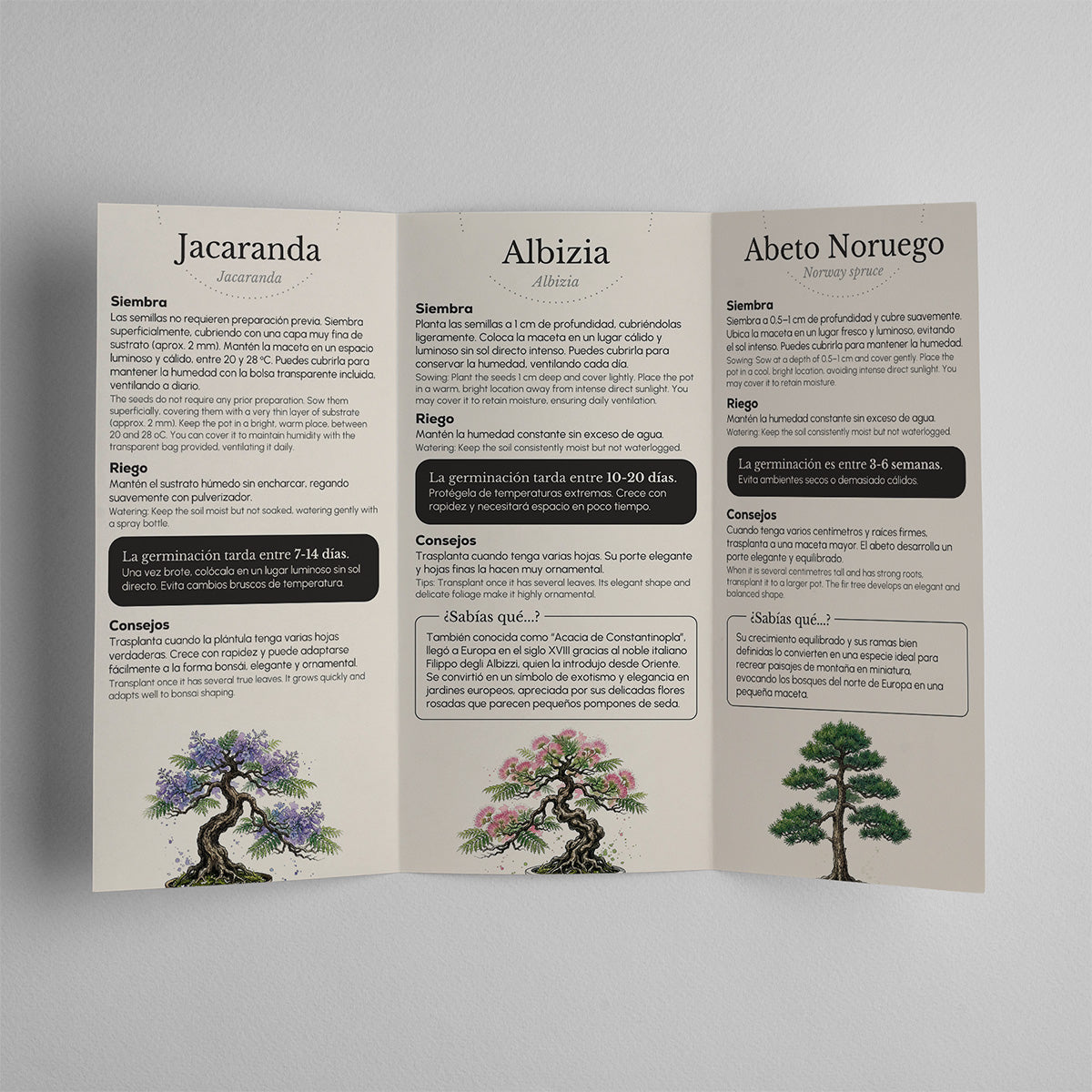 Caja Botánica: Bonsái "Cultivado con paciencia, todo perdura" Planeta Huerto