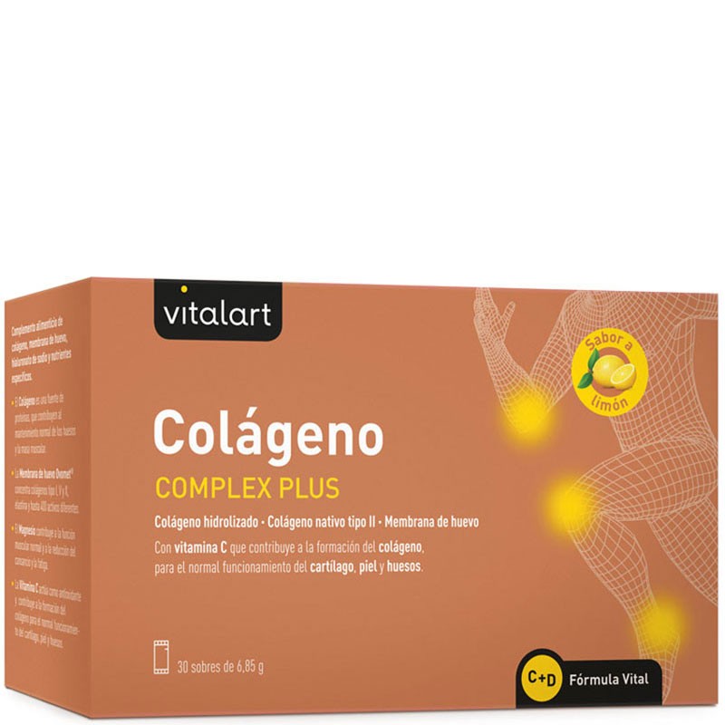 Complexo de colagénio mais Vitalart 30 saquetas