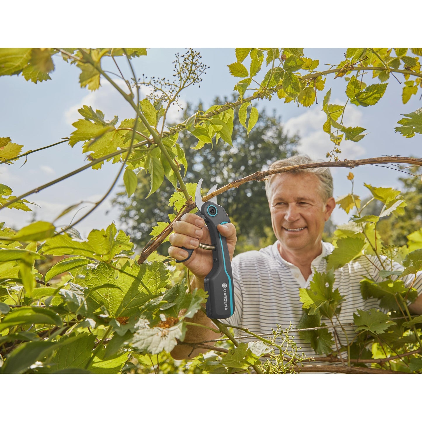 Tesouras de poda alimentadas por bateria GARDENA AssistCut