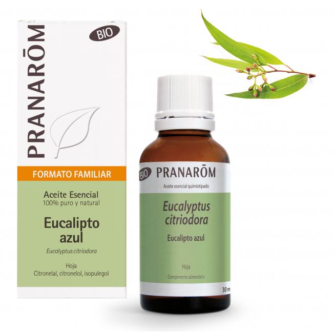 Óleo Essencial de Eucalipto Pranarom Bio Blue Leaf 30 ml