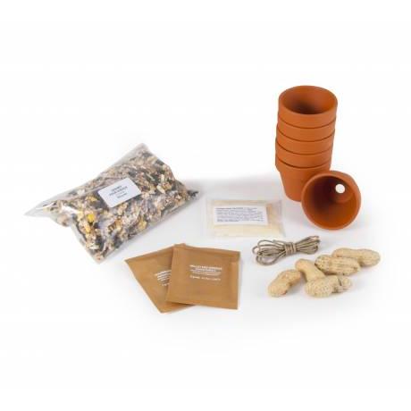 Aprender com os pássaros - Jogo da National Geographic