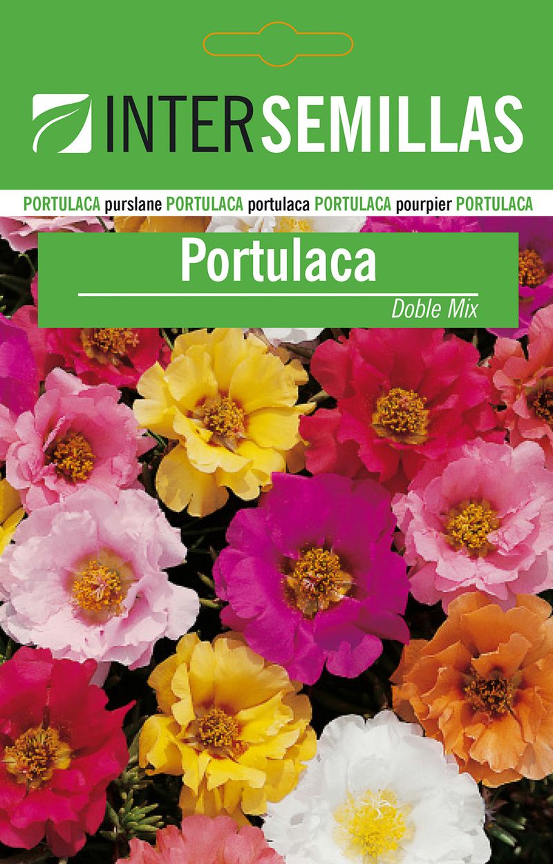 Sobre Semillas Flores Portulaca Doble Mix_0