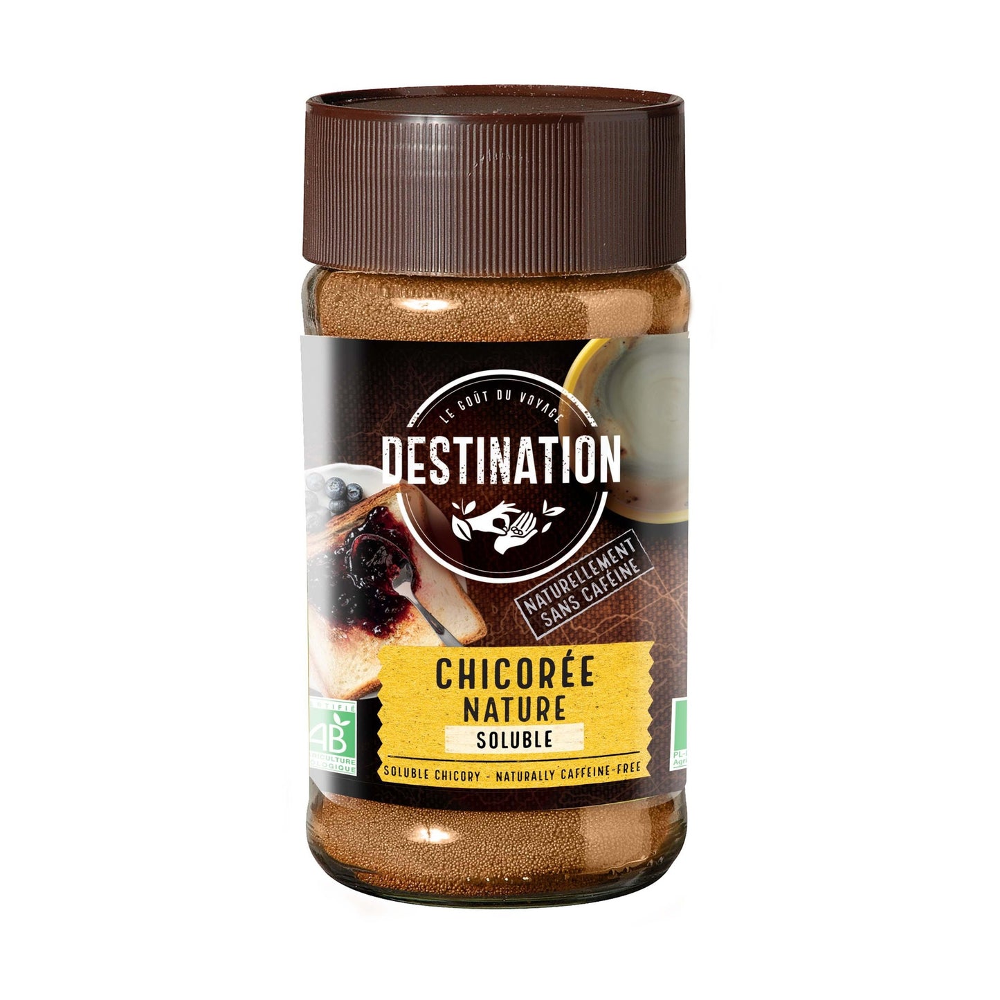 Chicória Solúvel Orgânica Destination 100 g