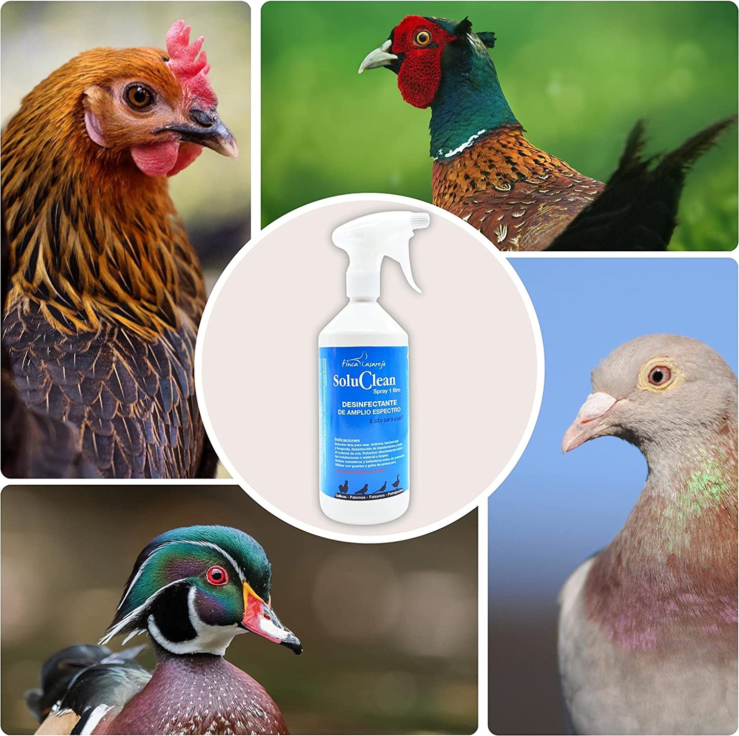 Soluclean - Limpieza De Gallineros, Perreras, Comederos Y Material - Disolver Y Limpiar Las Instalaciones (1 L)_3