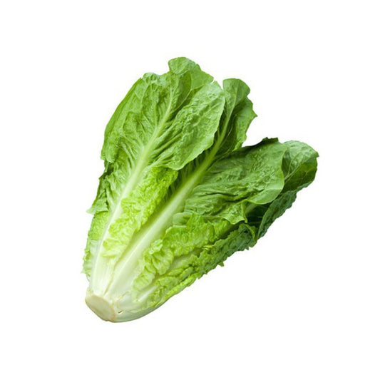 Muda de alface em vaso de 11 cm