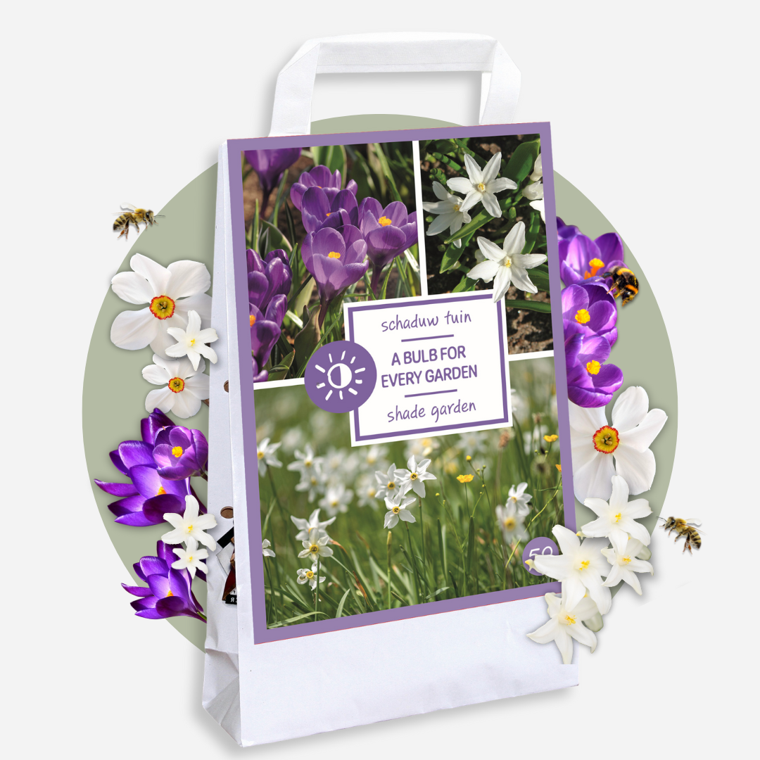 Caja Jardín Sombrío - 50 Bulbos Para Sombra & Semisombra_4