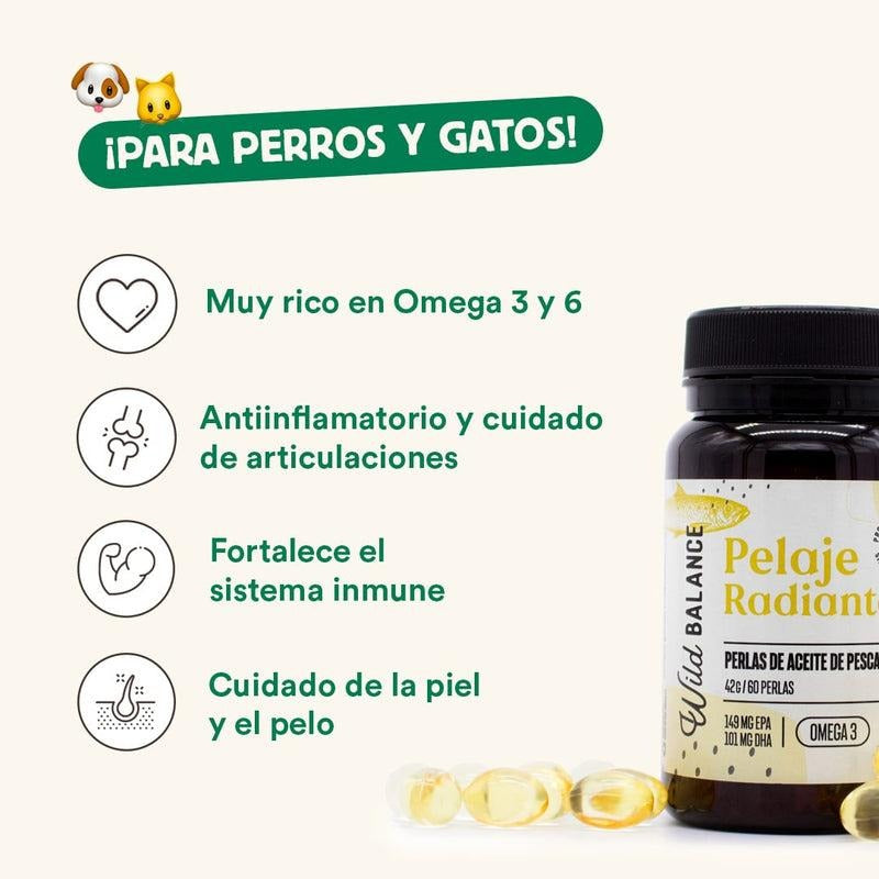 Pack de casacos Wild Balance Radiant