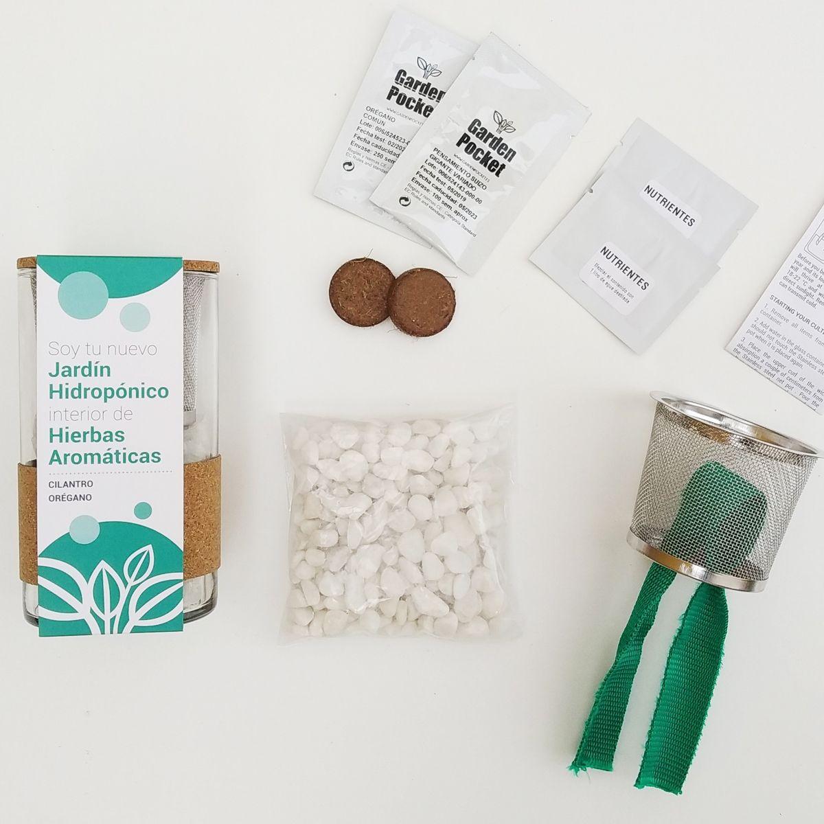 Cultivo hidropónico de coentro e orégãos