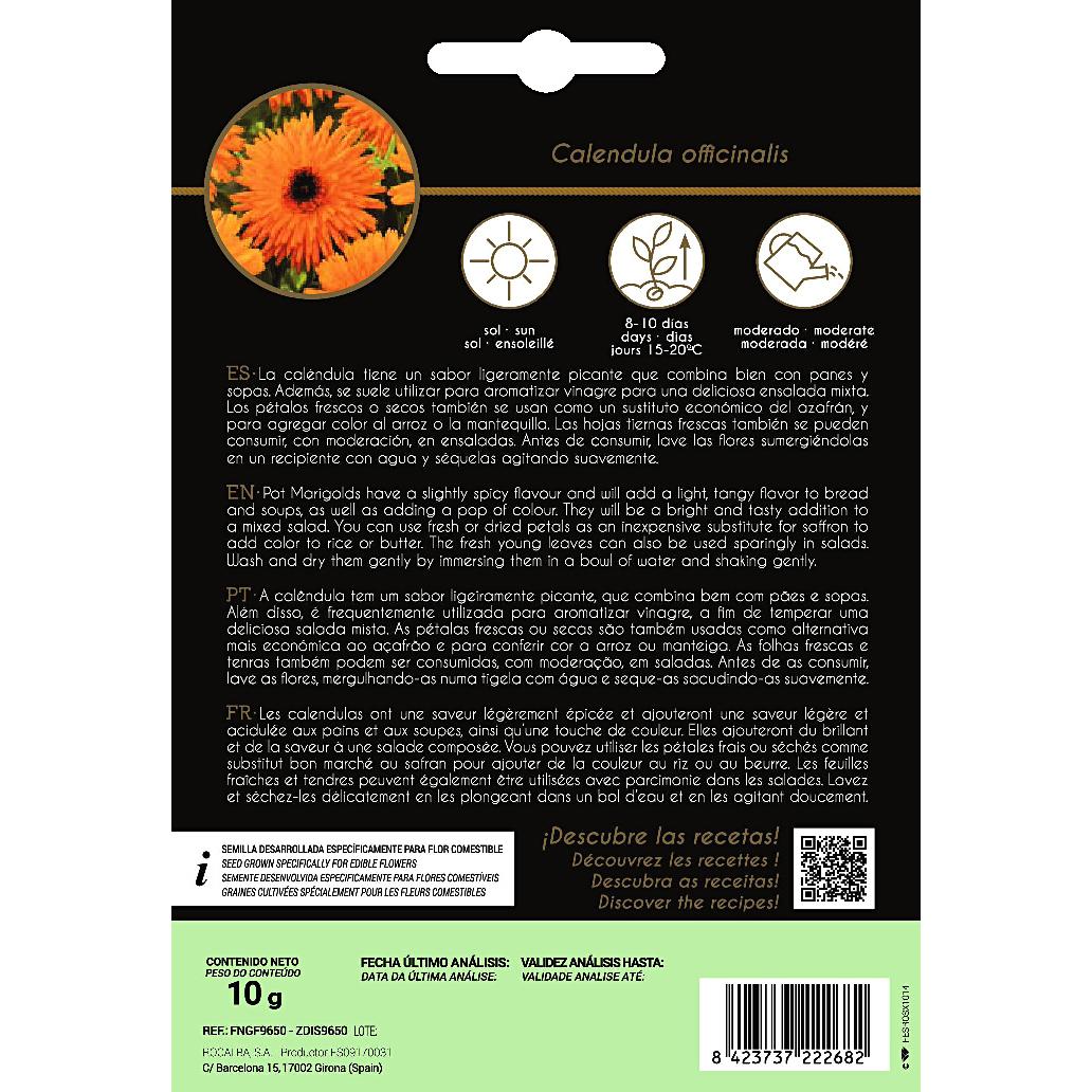 Sementes de flores comestíveis de Calendula Rocalba