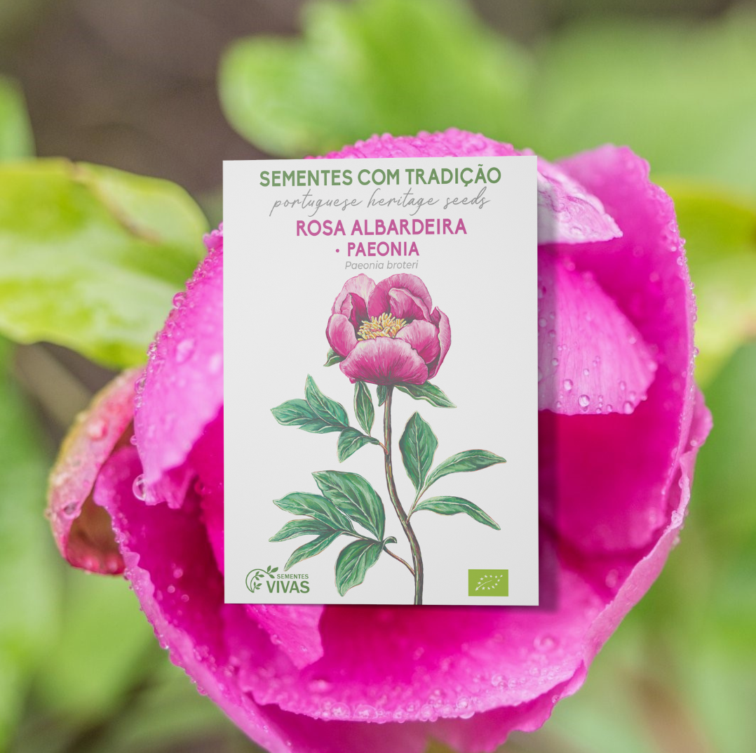 Semillas De Rosa Albardera Ecológicas_0