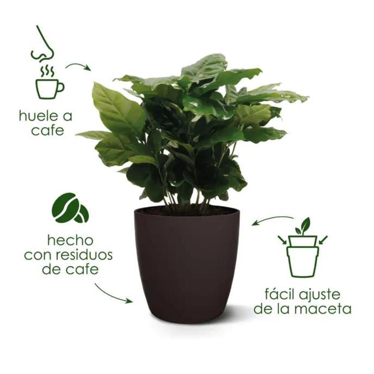 Coleção Elho Coffee Vaso Redondo Reciclado 14 cm