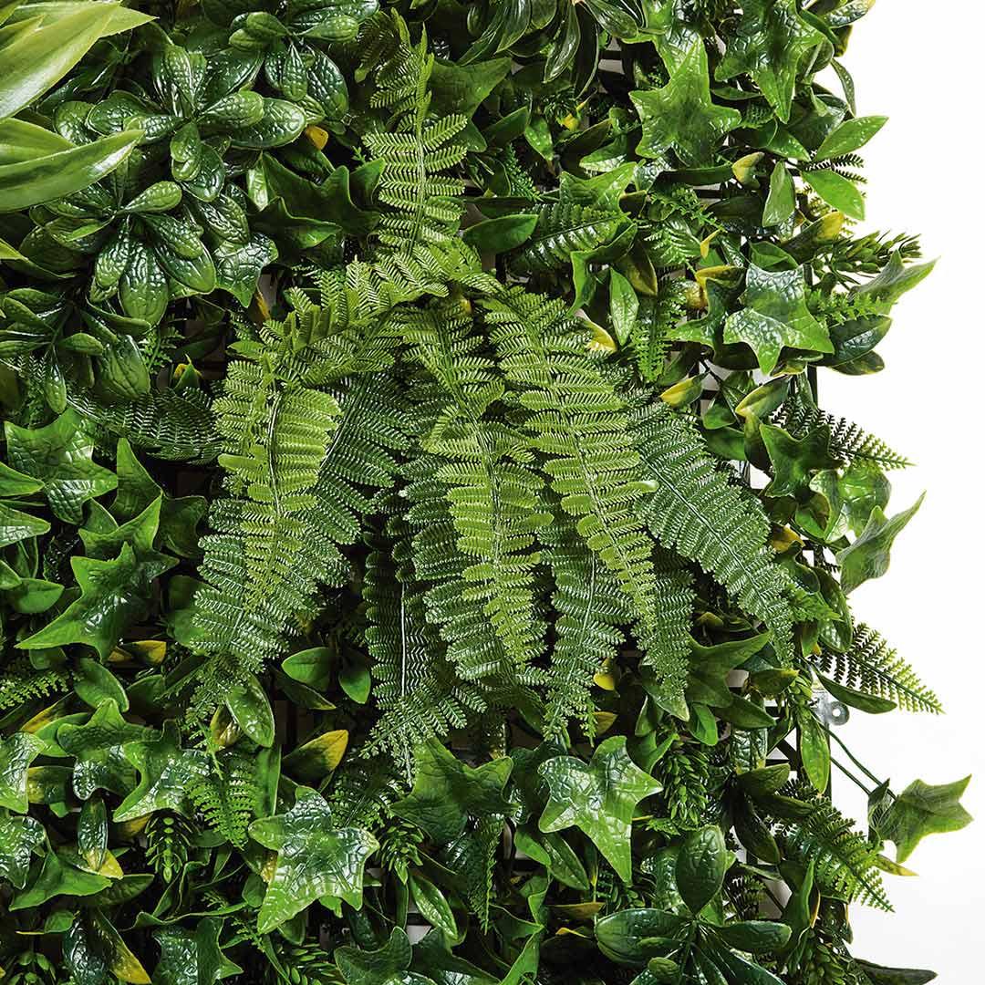 Jardim vertical sintético Wild Catral 1x1 m
