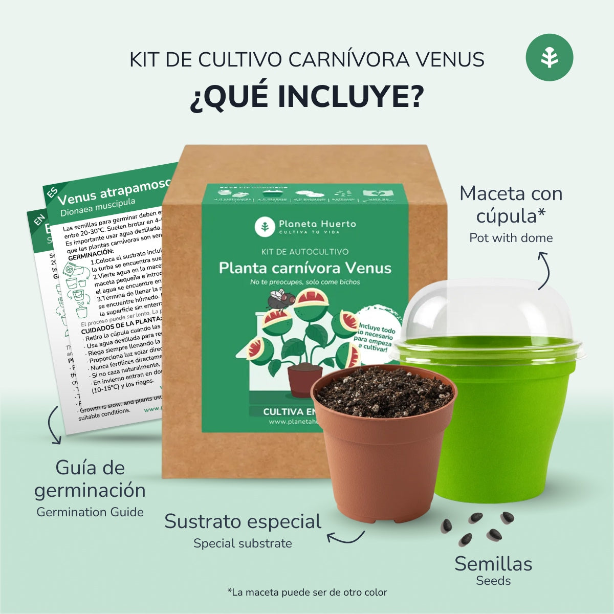 Kit de autocultivo para planta carnívora de dioneia Planeta Huerto