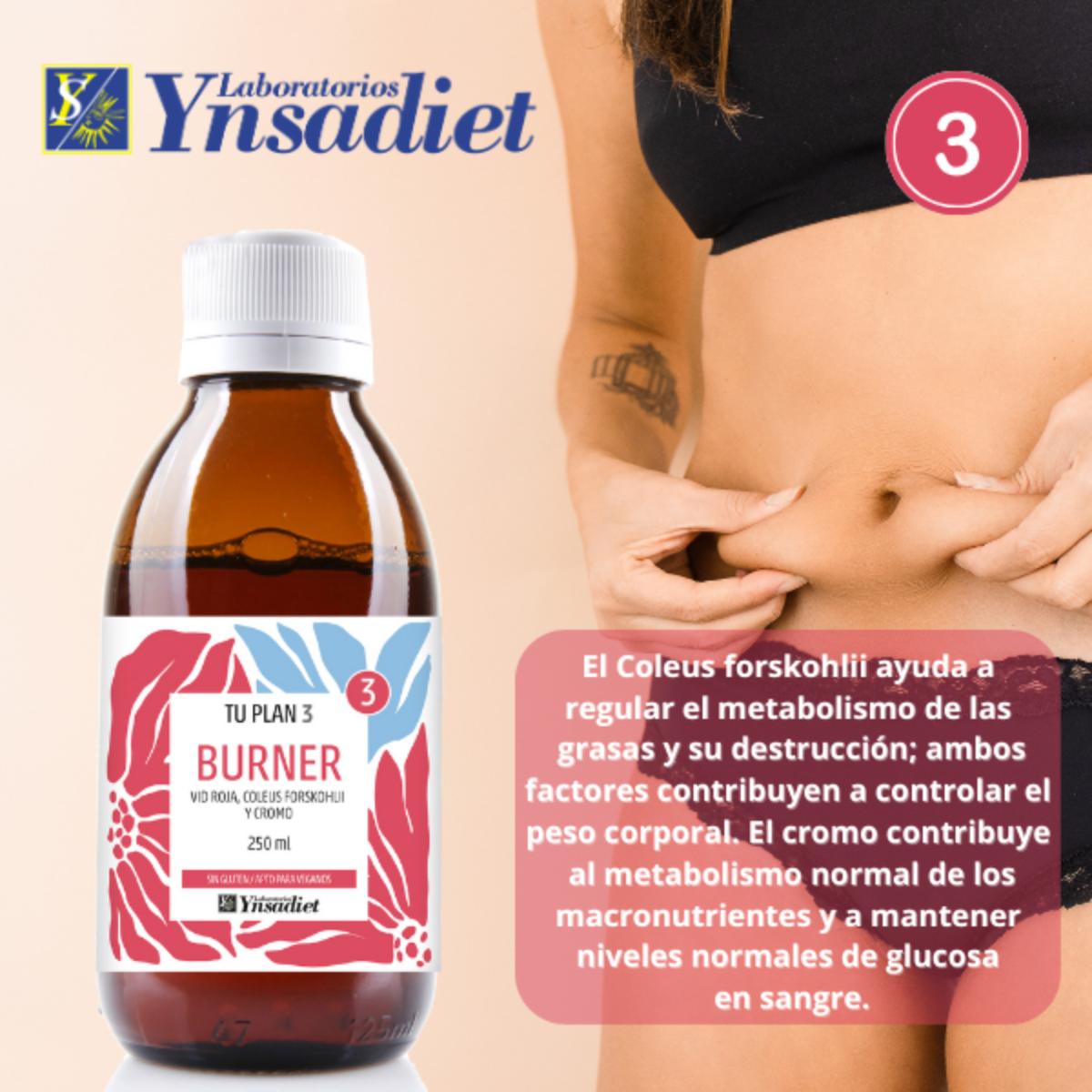 O seu plano completo de 3 dias para recuperar a sua figura ideal Ynsadiet