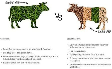 Natruly Whey Protein Bio Chocolate 350 g 350g