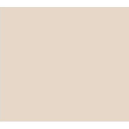 TINTA DE GIZ CP-38 NUDE