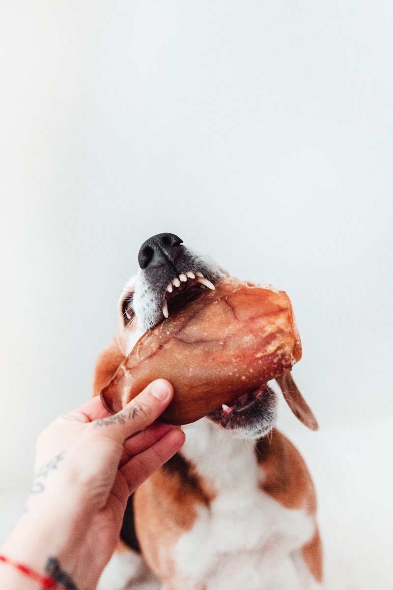 Bimordiscos Orejas De Cerdo Para Perros · 250g_3