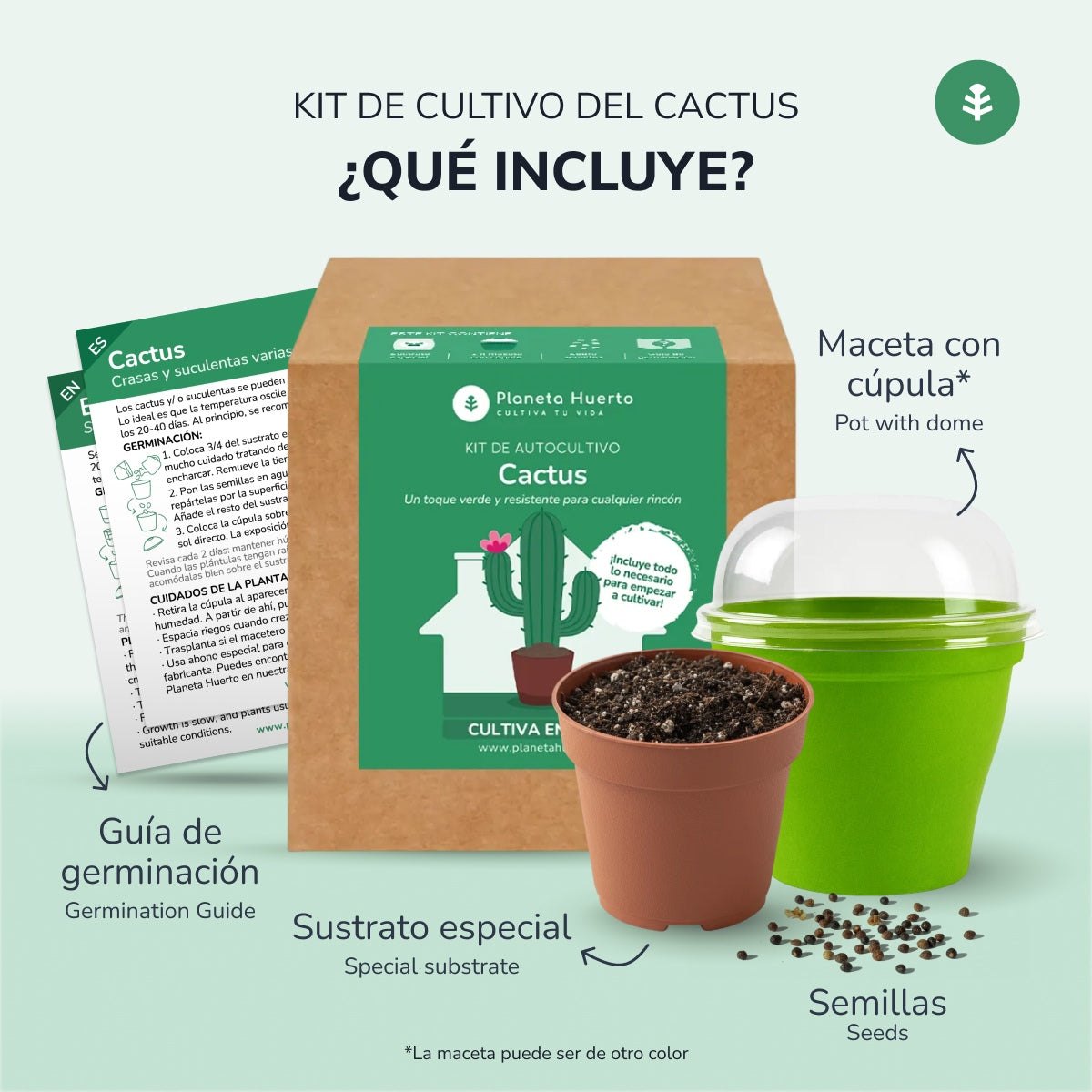 Kit de auto-cultivo de cactos Planeta Huerto