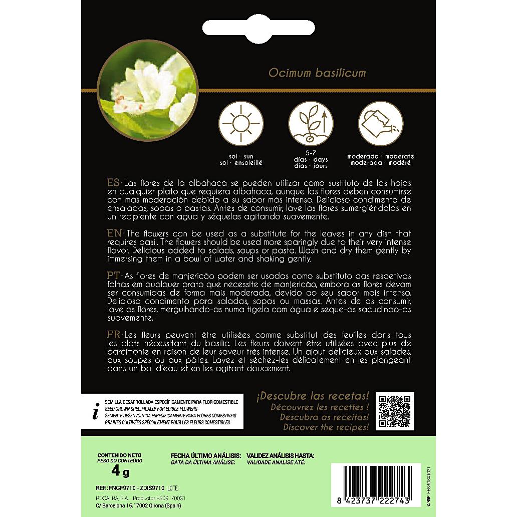 Sementes de flores comestíveis de manjericão Rocalba