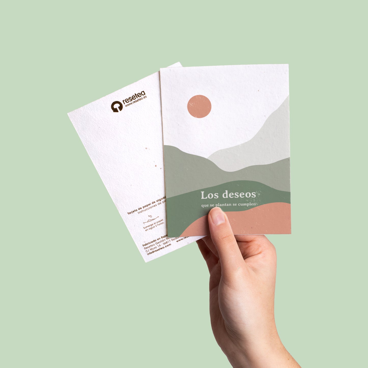 Postal Plantable "Los Deseos Que Se Plantan Se Cumplen" Semillas de Manzanilla | Regalo Original con Sobre - Resetea_3
