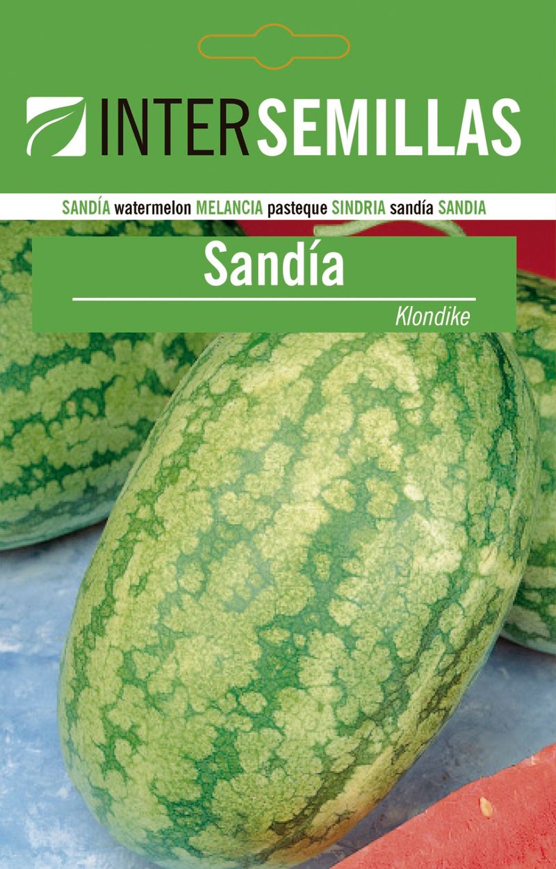 Sobre De Semillas De Sandia Klondike_0
