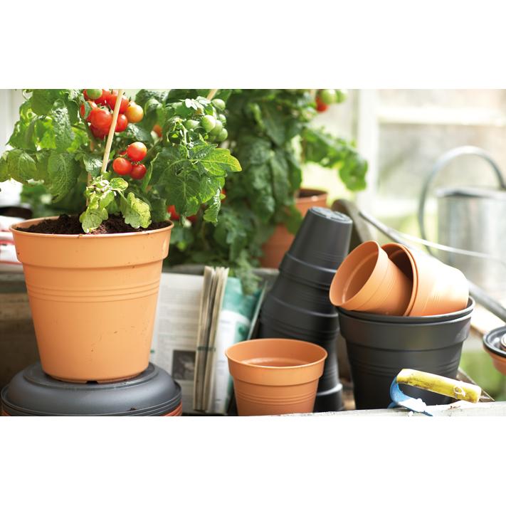 Vaso Green Basics Elho Terra 24 cm