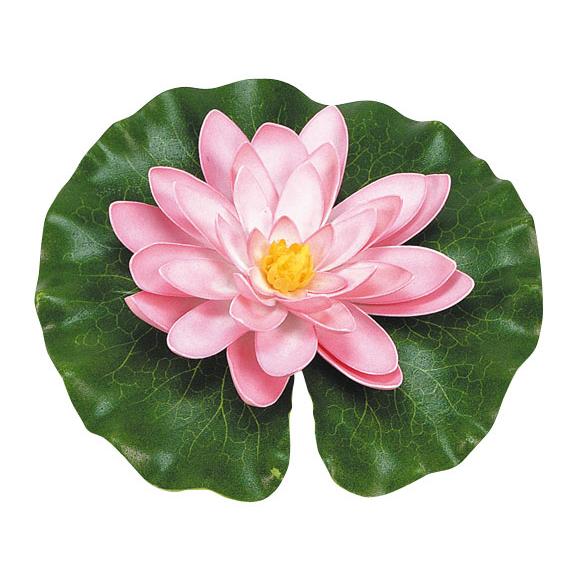 Nenúfar rosa com gotas