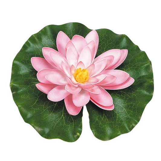 Nenúfar rosa com gotas