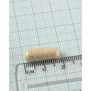 Embalagem de 2 enzimas digestivas Digestizyme, Lamberts, 100 cápsulas