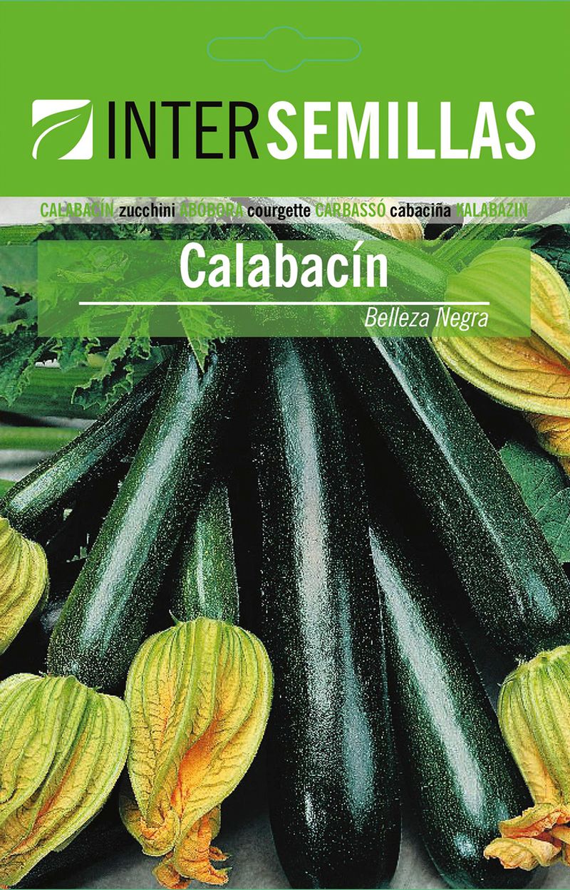 Sobre De Semillas De Calabacin Belleza Negra_0