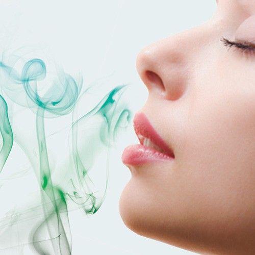 Fragrância de relva artificial Nortene 750 ml