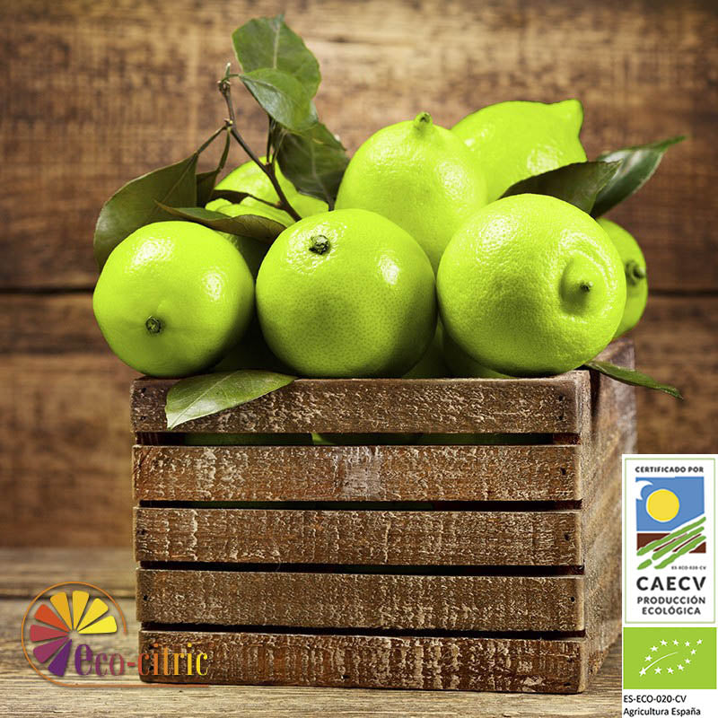 Limón Verde Ecológico 10kg_0
