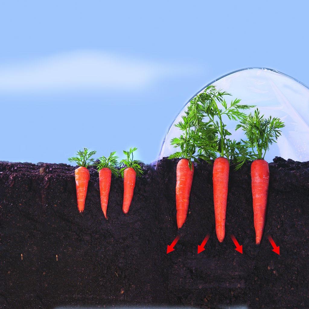 Película Climafilm Nortene 2 x 5 m para o cultivo precoce de hortícolas