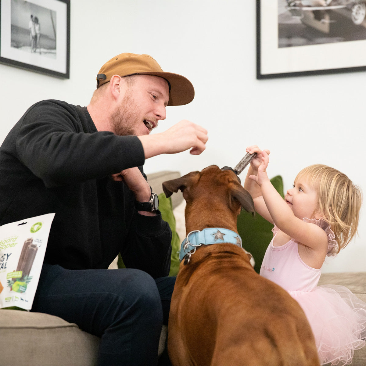 Doggy Dentário para cães grandes Maçã e Eucalipto Edgard Cooper 7 palitos