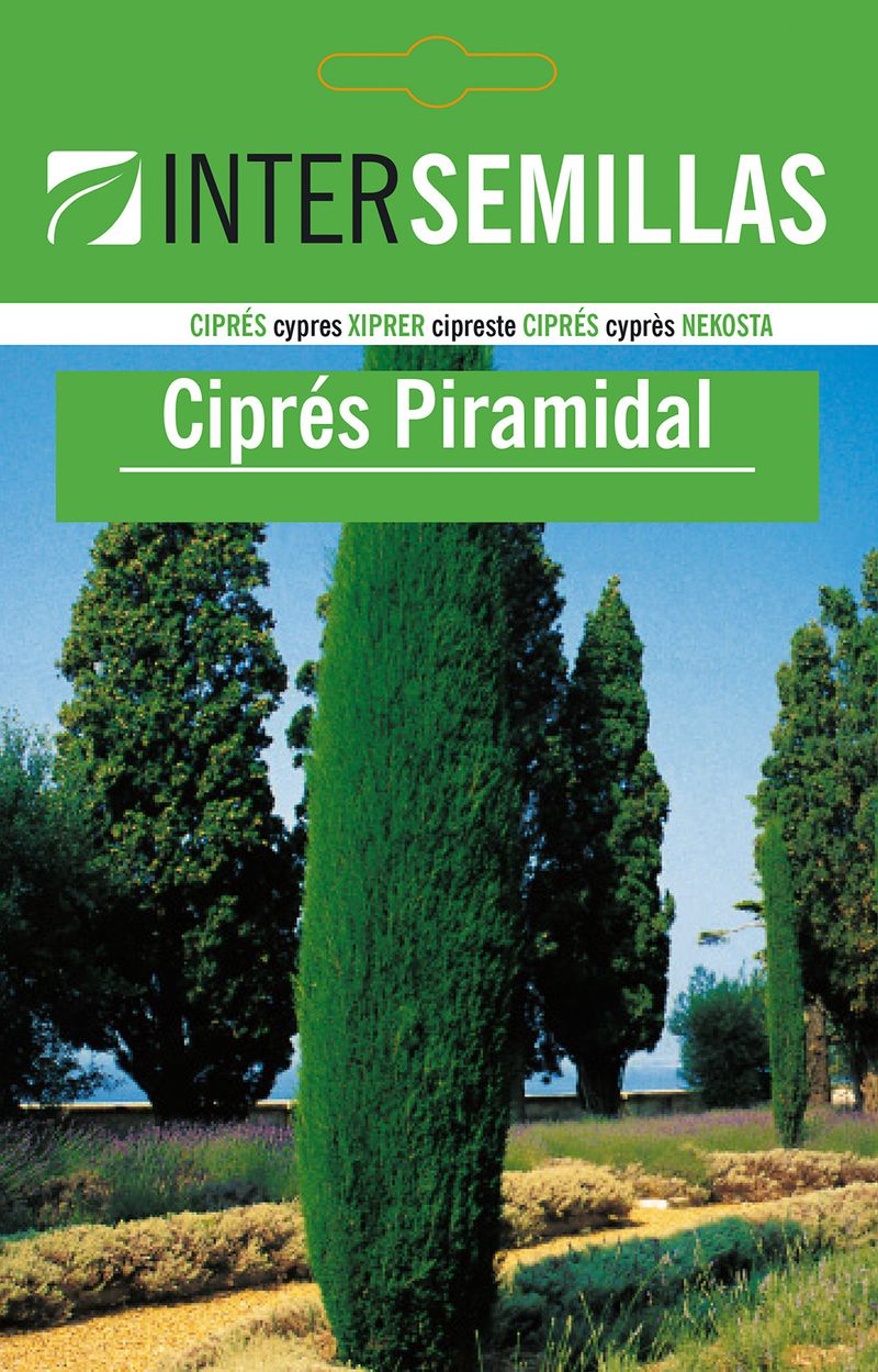 Sobre De Semillas De Cipres Piramidal_0