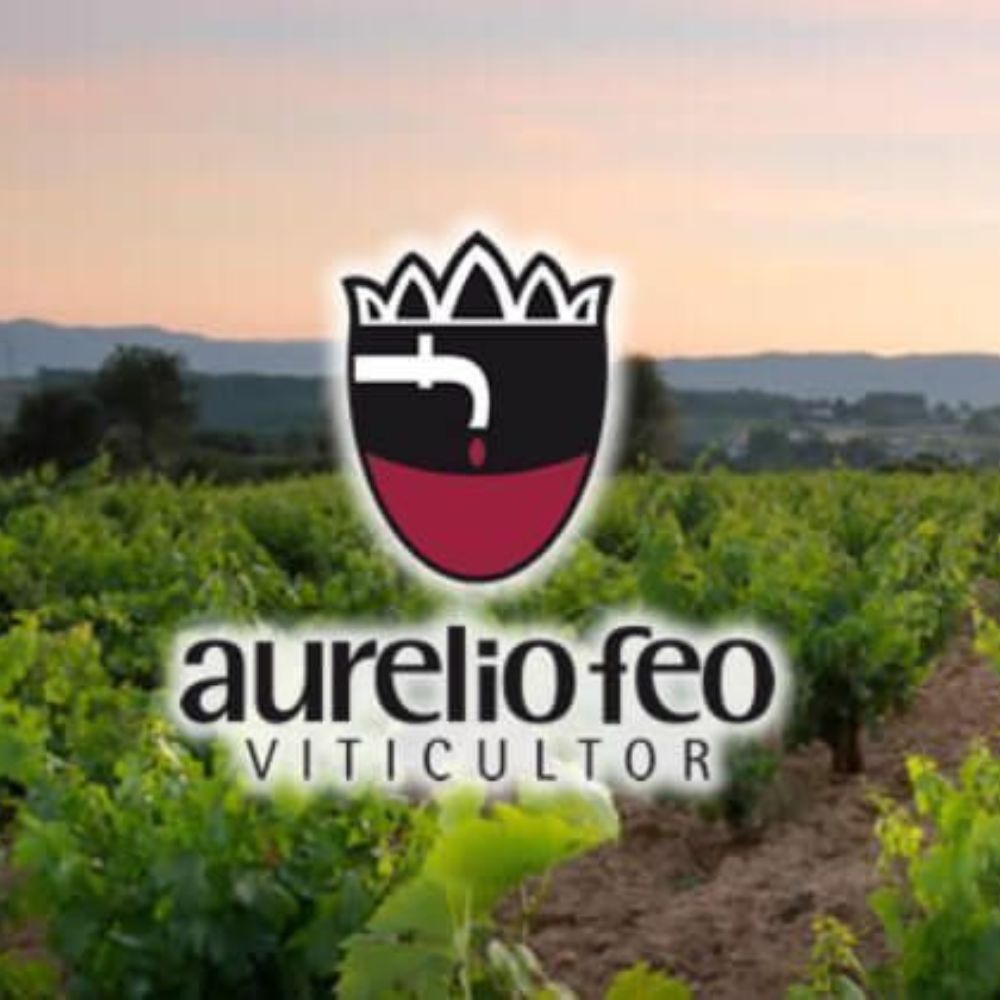 Vino Tinto - Metáfora - Mencía De Ánfora - 2019_2