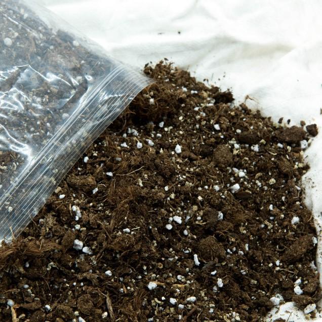 Substrato universal para carnívoros 1 L