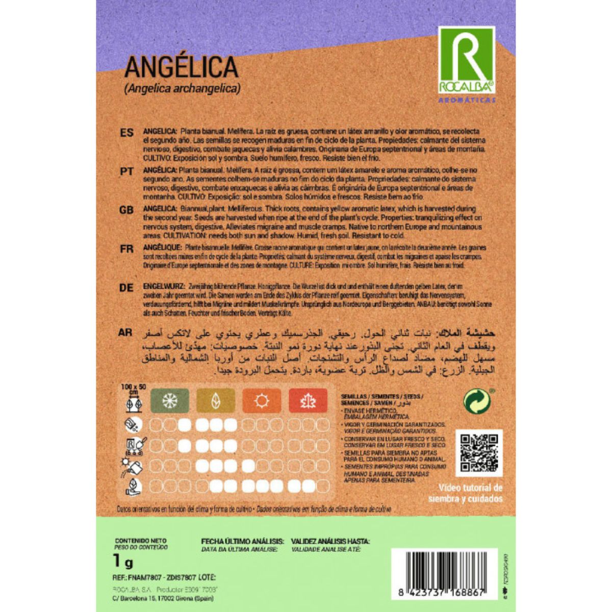 Sementes de Angélica