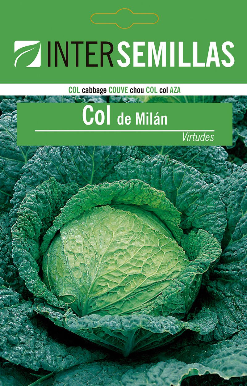 Sobre De Semillas Col De Milan Virtudes_0