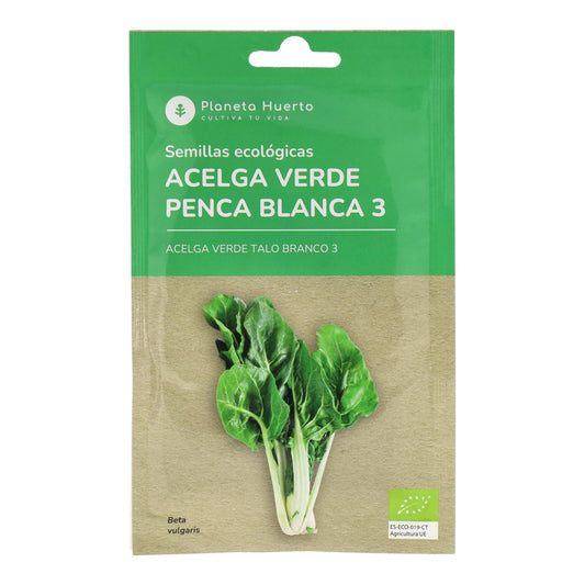 Sementes de acelga verde biológica Planeta Huerto