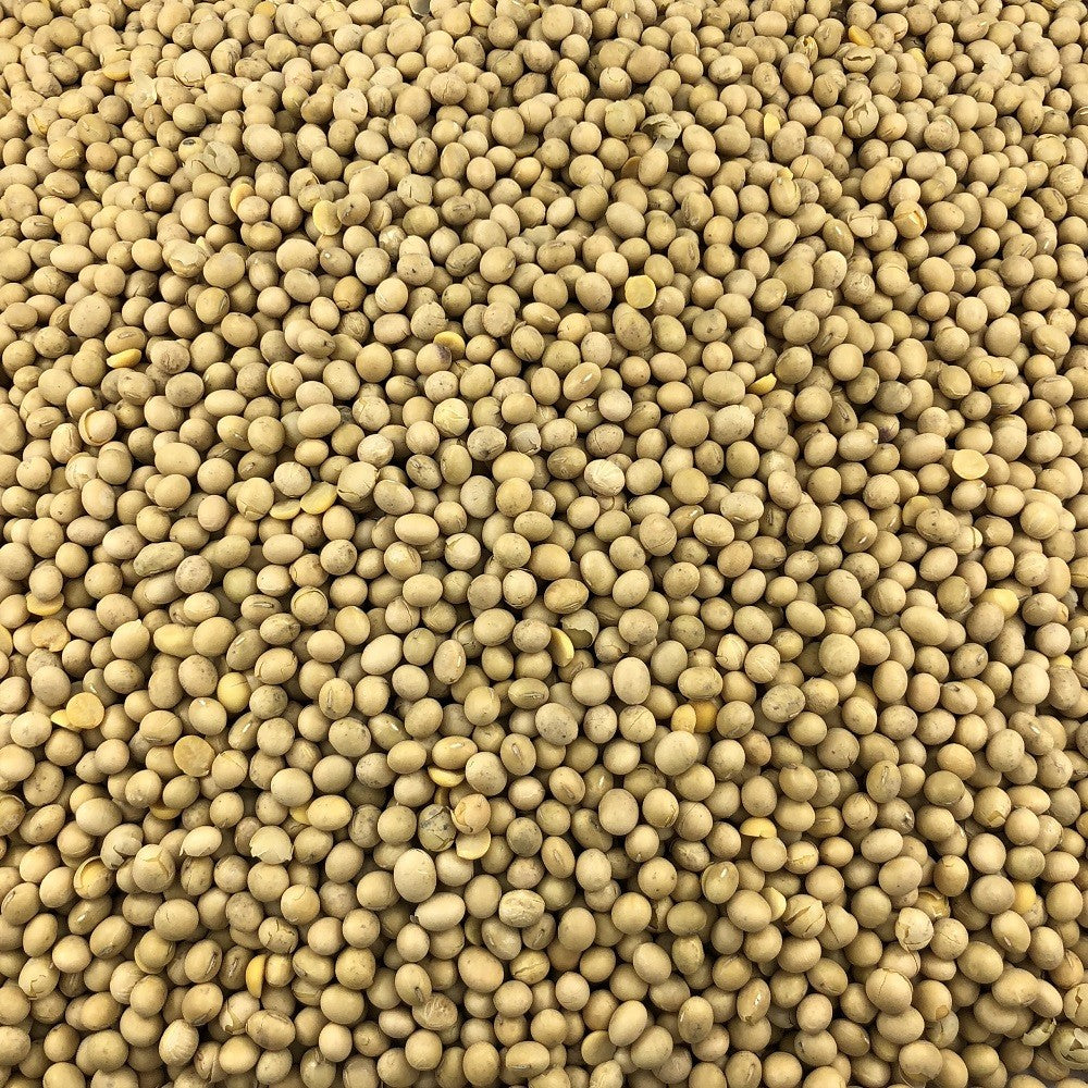 Soja Amarilla Ecológica Granel 25 Kg_2