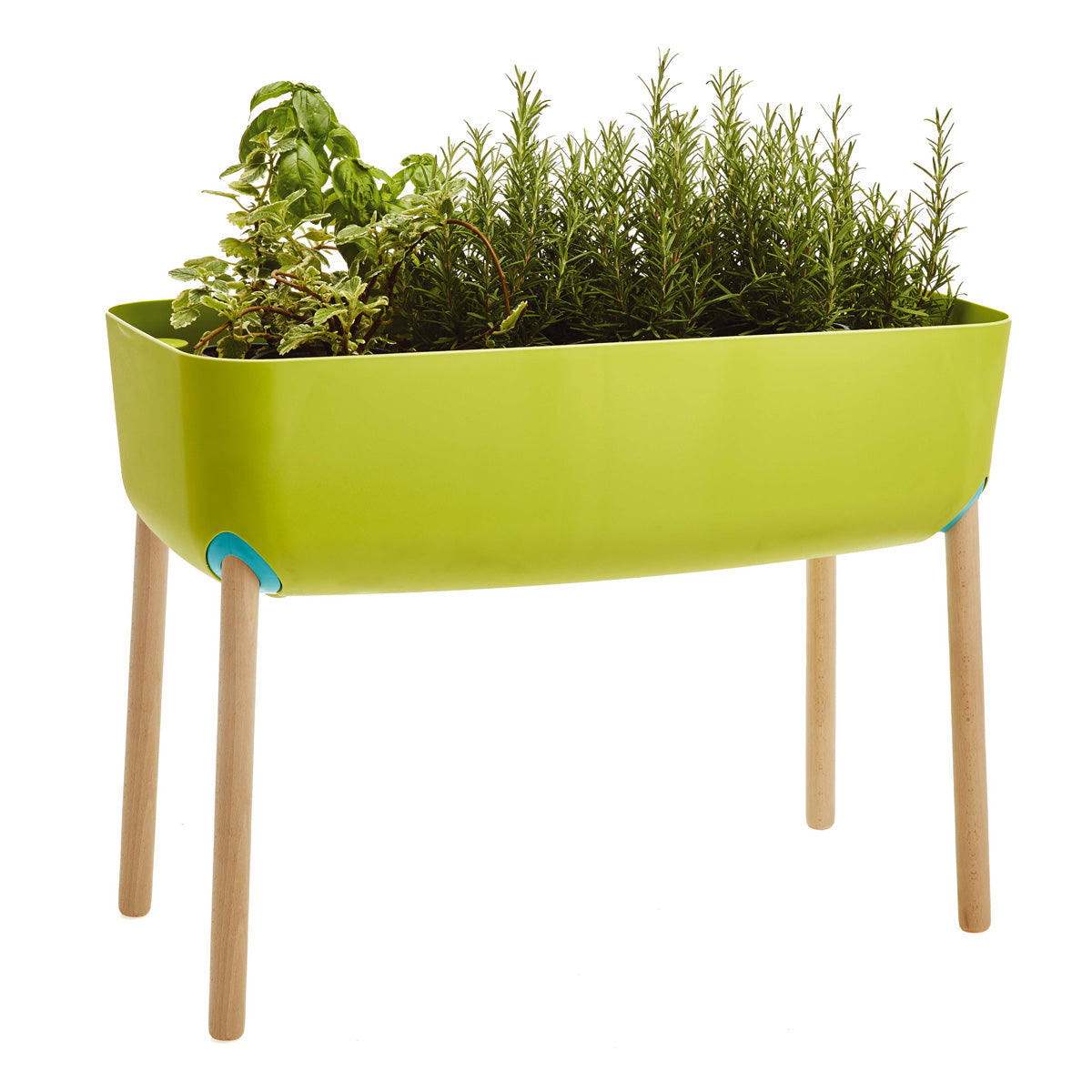 Horta urbana infantil Verdemax