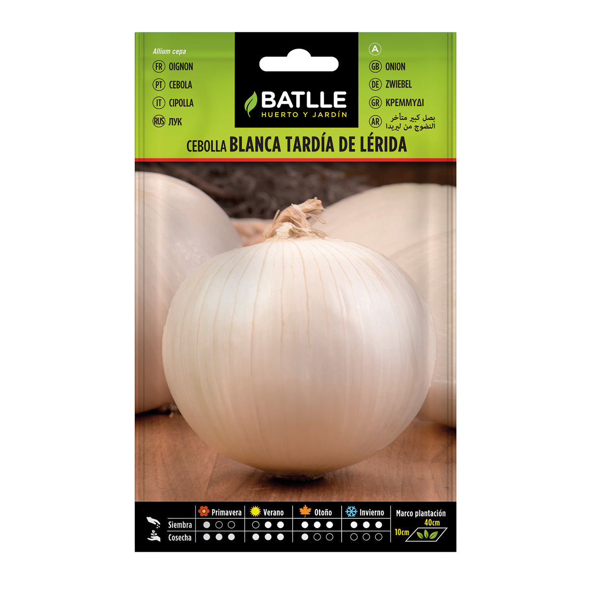 Sementes grandes de cebola tardia Batlle Lérida